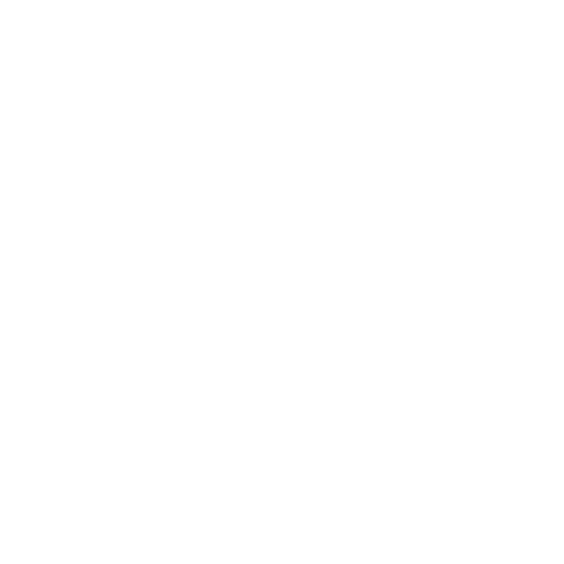 Code Icon